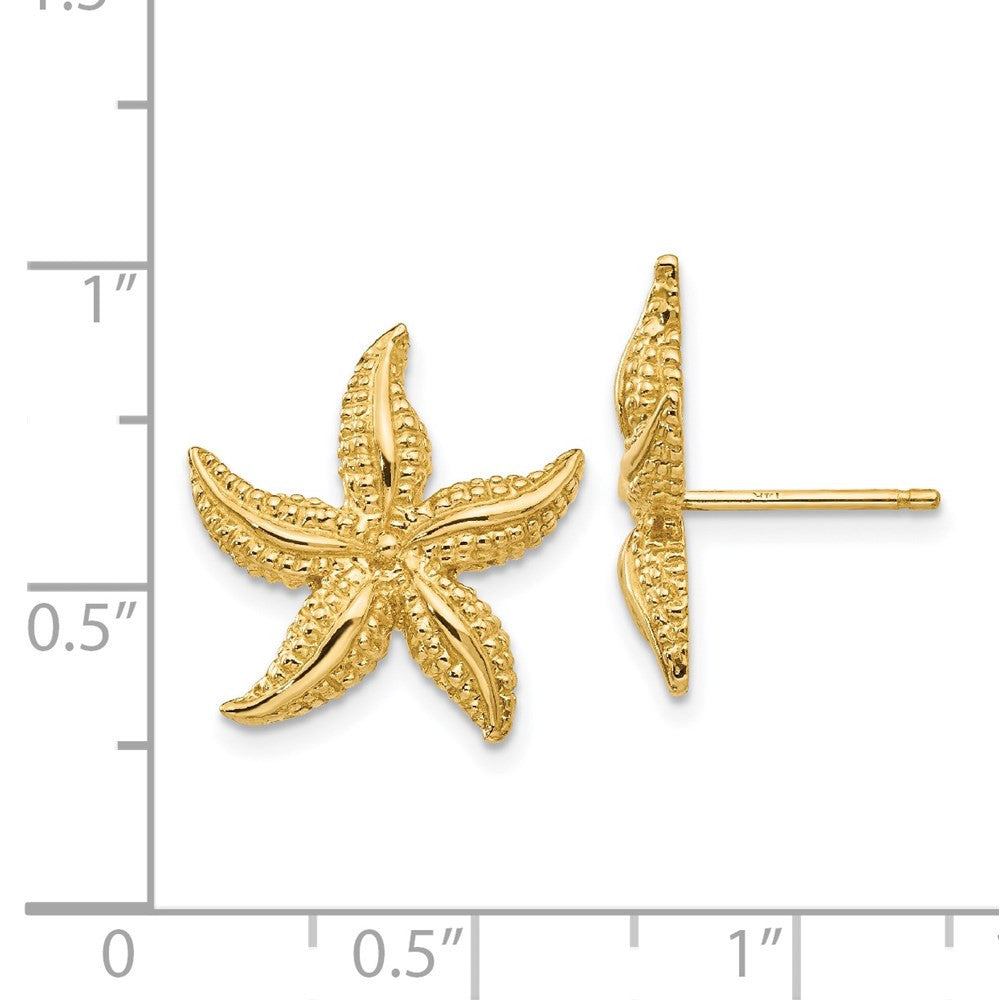 14k Yellow Gold Starfish Stud Earrings