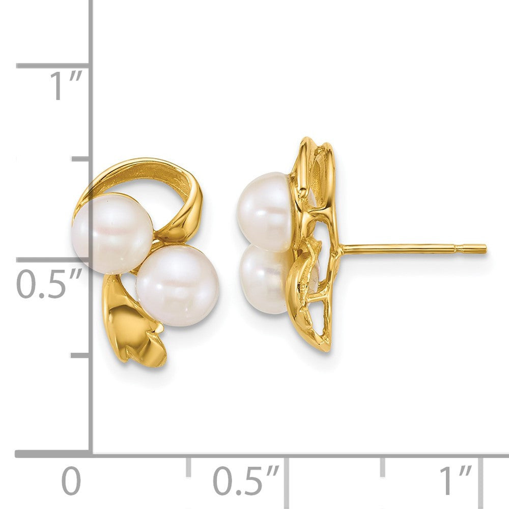 14k Yellow Gold Polished 5-6mm Button Freshwater Cultured 2-Pearl Stud Earrings