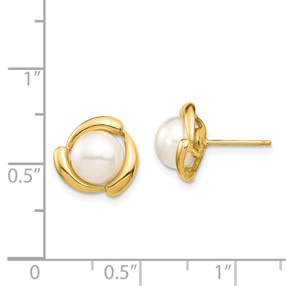 14k Yellow Gold 7-8mm White Button Freshwater Cultured Pearl Stud Earrings