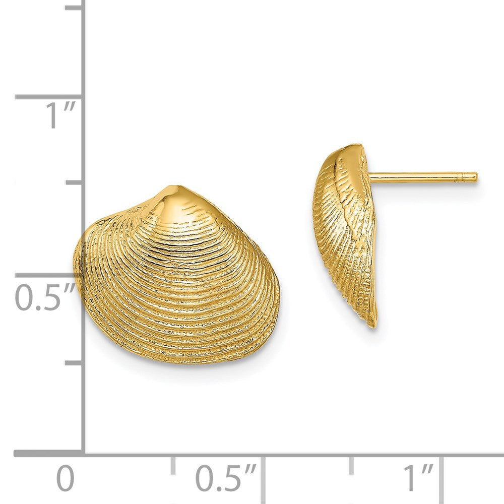 14k Yellow Gold Clam Shell Stud Earrings