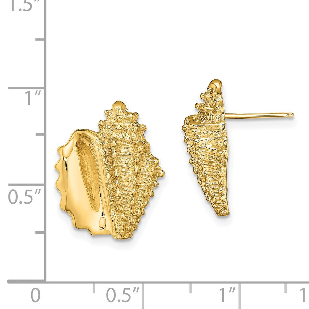 14k Yellow Gold 2-D Conch Shell Stud Earrings