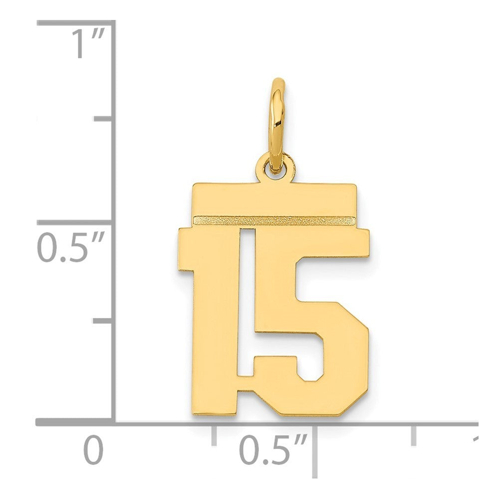 14k Yellow Gold Small Polished Number 15 Charm Pendant