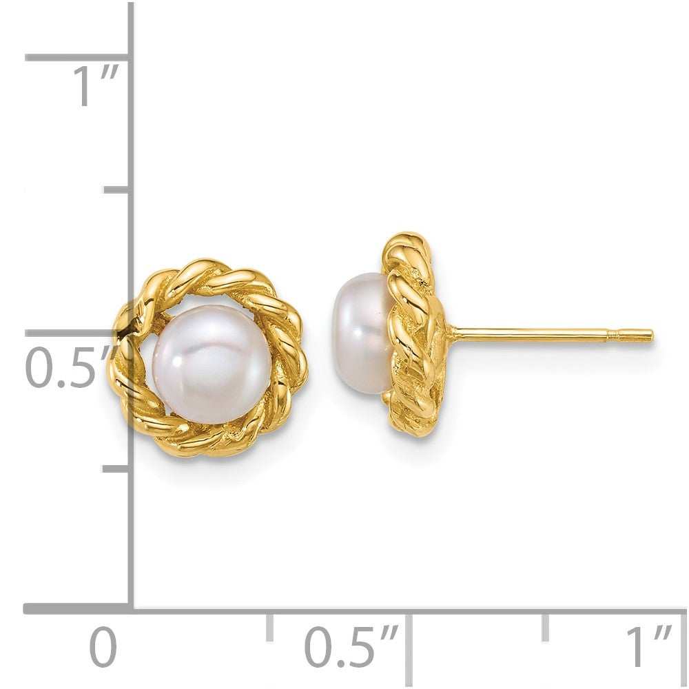 14k Yellow Gold 6mm Button Freshwater Cultured Pearl Twisted Edge Stud Earrings