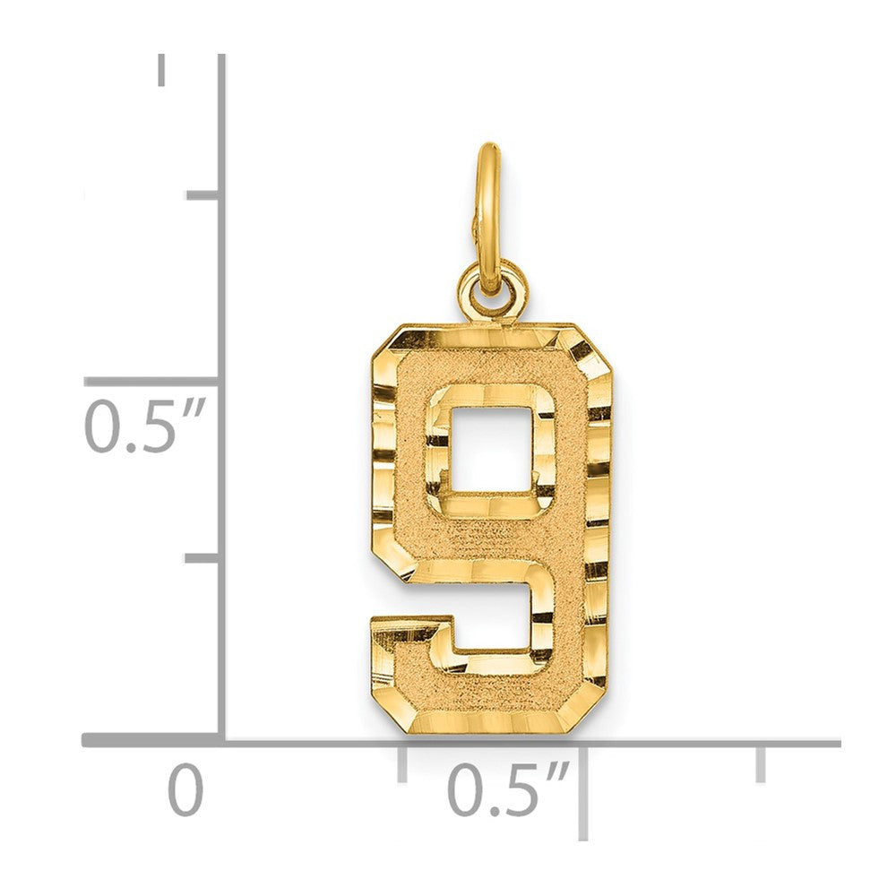 14k Yellow Gold Medium Diamond-cut Number 9 Charm Pendant