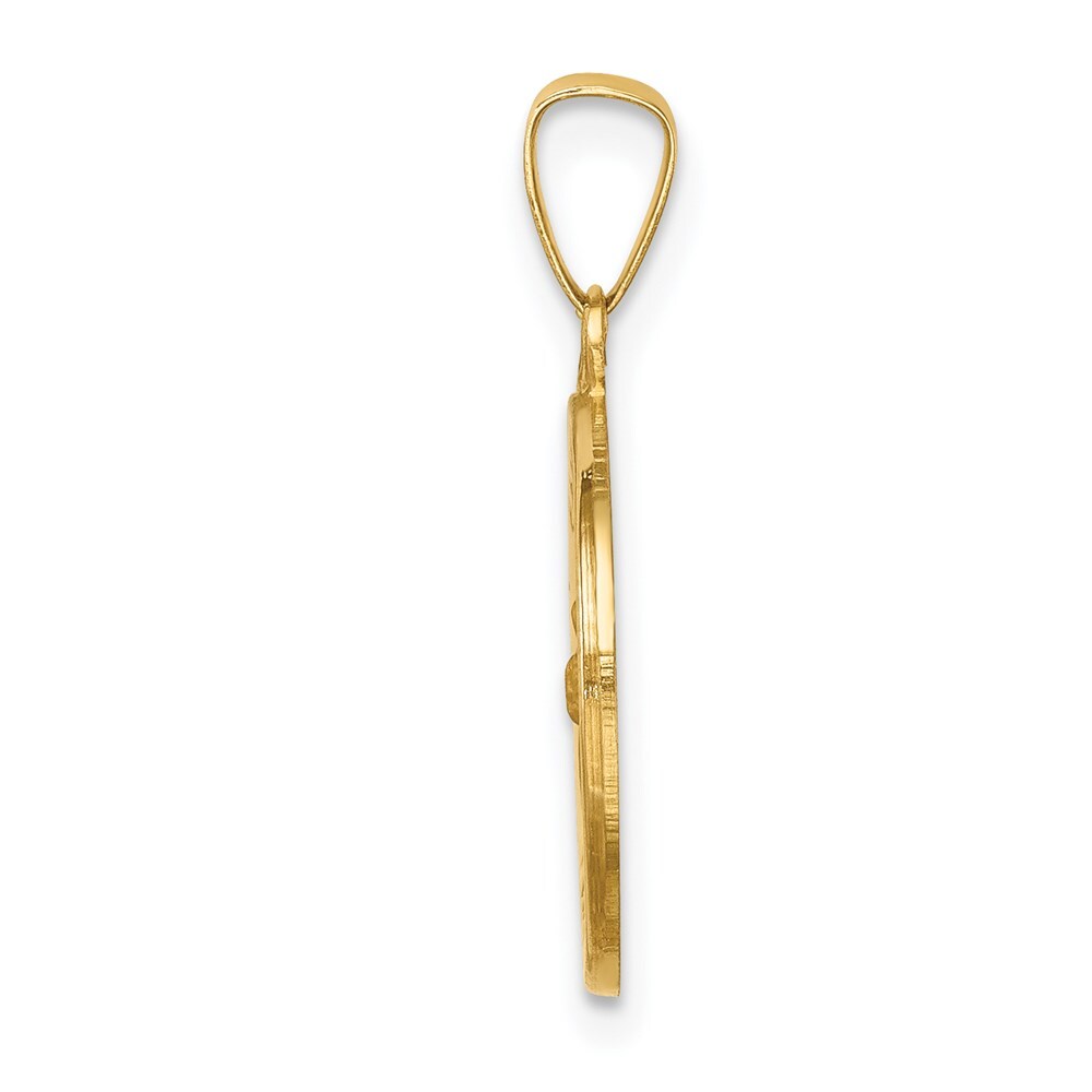 14k Yellow Gold Polished and Satin St Francis Medal Hollow Pendant for Women