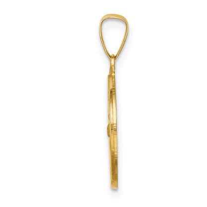 14k Yellow Gold Polished and Satin St Francis Medal Hollow Pendant for Women