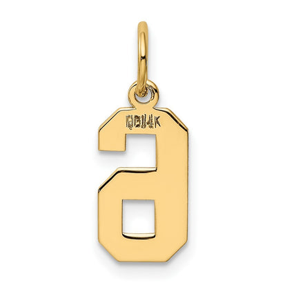 14k Yellow Gold Small Polished Number 6 Charm