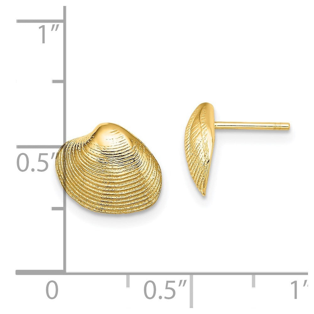 14k Yellow Gold Clam Shell Stud Earrings Gift for Women