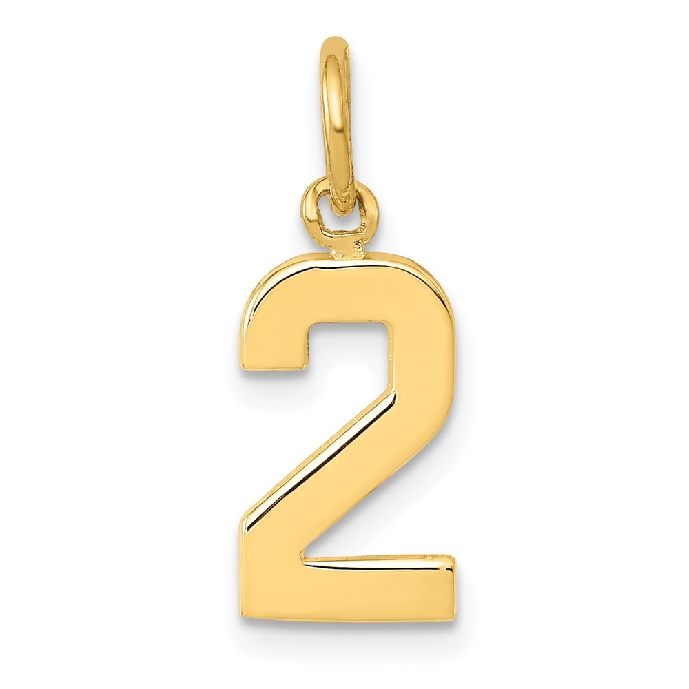 14k Yellow Gold Small Polished Number 2 Charm Pendant