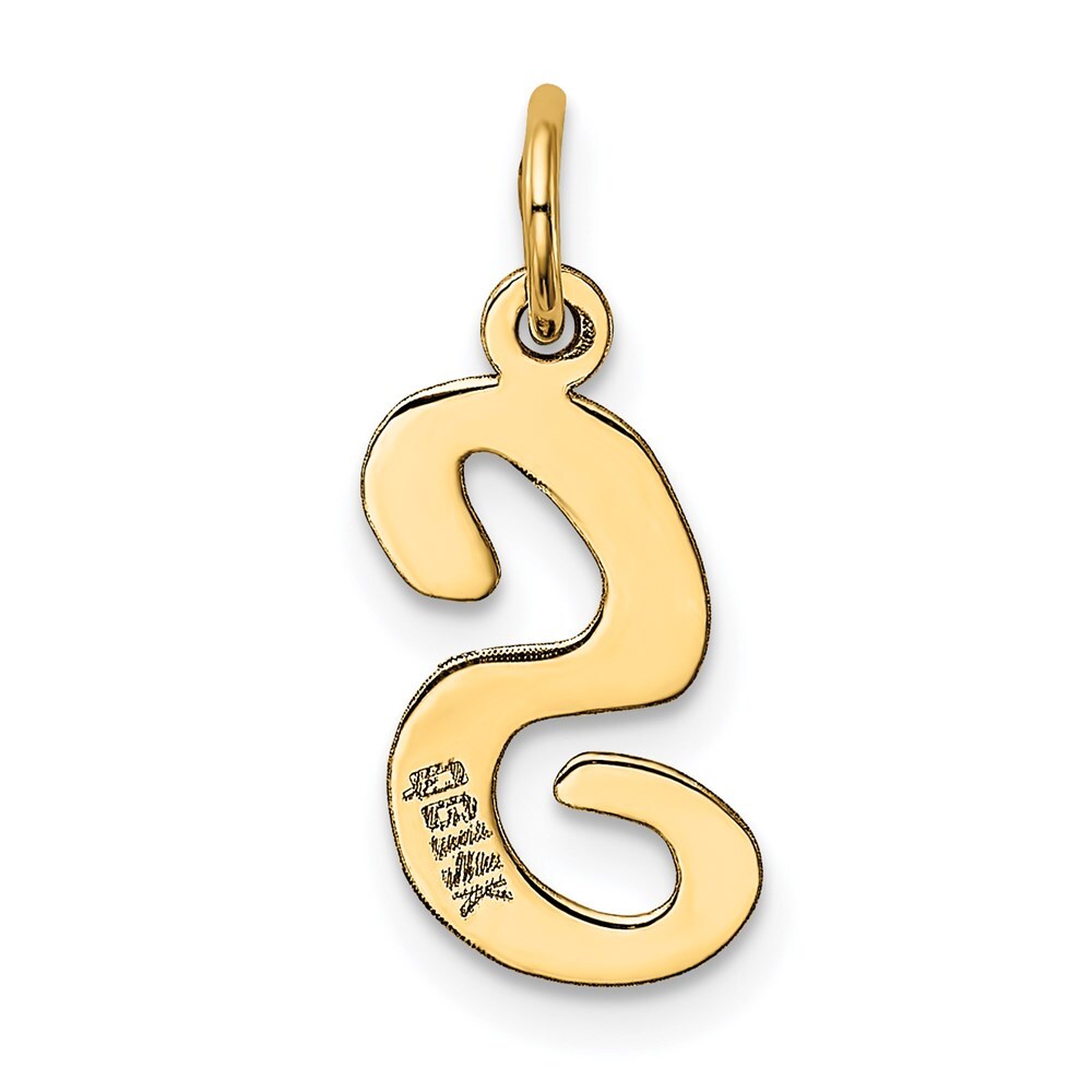 14k Yellow Gold Medium Script Letter S Initial Charm Pendant for Women