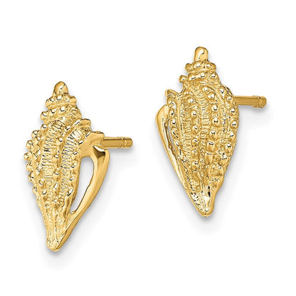 14k Yellow Gold Mini Conch Shell Earrings