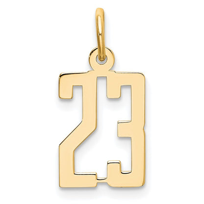 14k Yellow Gold Small Elongated Number 23 Charm Pendant for Women