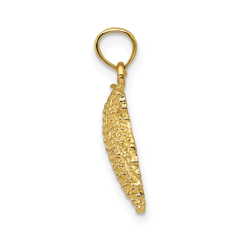 14k Yellow Gold Textured Scallop Shell Pendant for Women