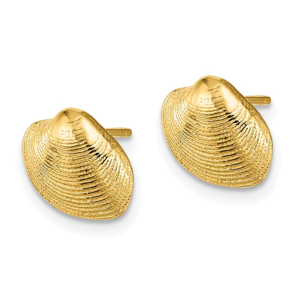 14k Yellow Gold Clam Shell Stud Earrings Gift for Women