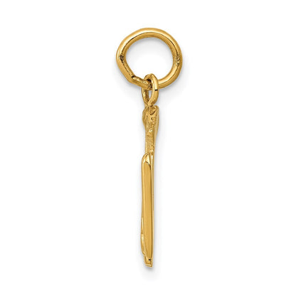 14k Yellow Gold RN Registered Nurse Charm Pendant for Women