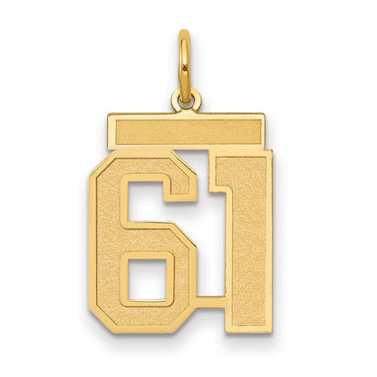 14k Yellow Gold Medium Satin Number 61 Charm Pendant for Women