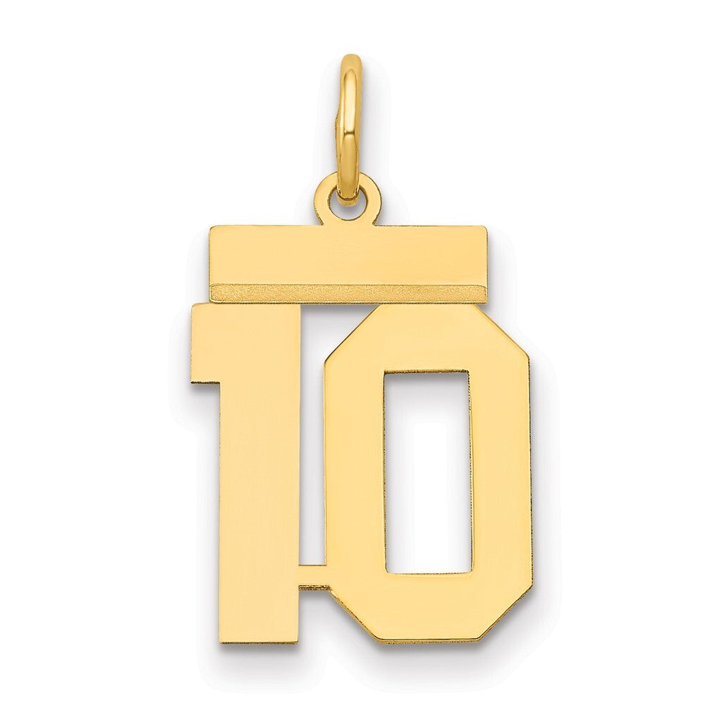 14k Yellow Gold Small Polished Number 10 Charm Pendant for Women