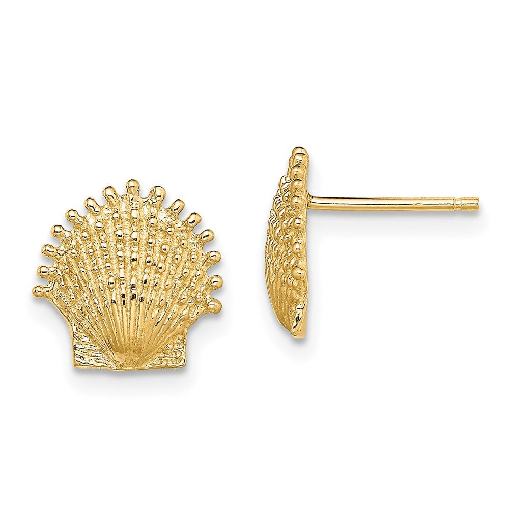 14k Yellow Gold Beaded Scallop Shell Stud Earrings Gift for Women