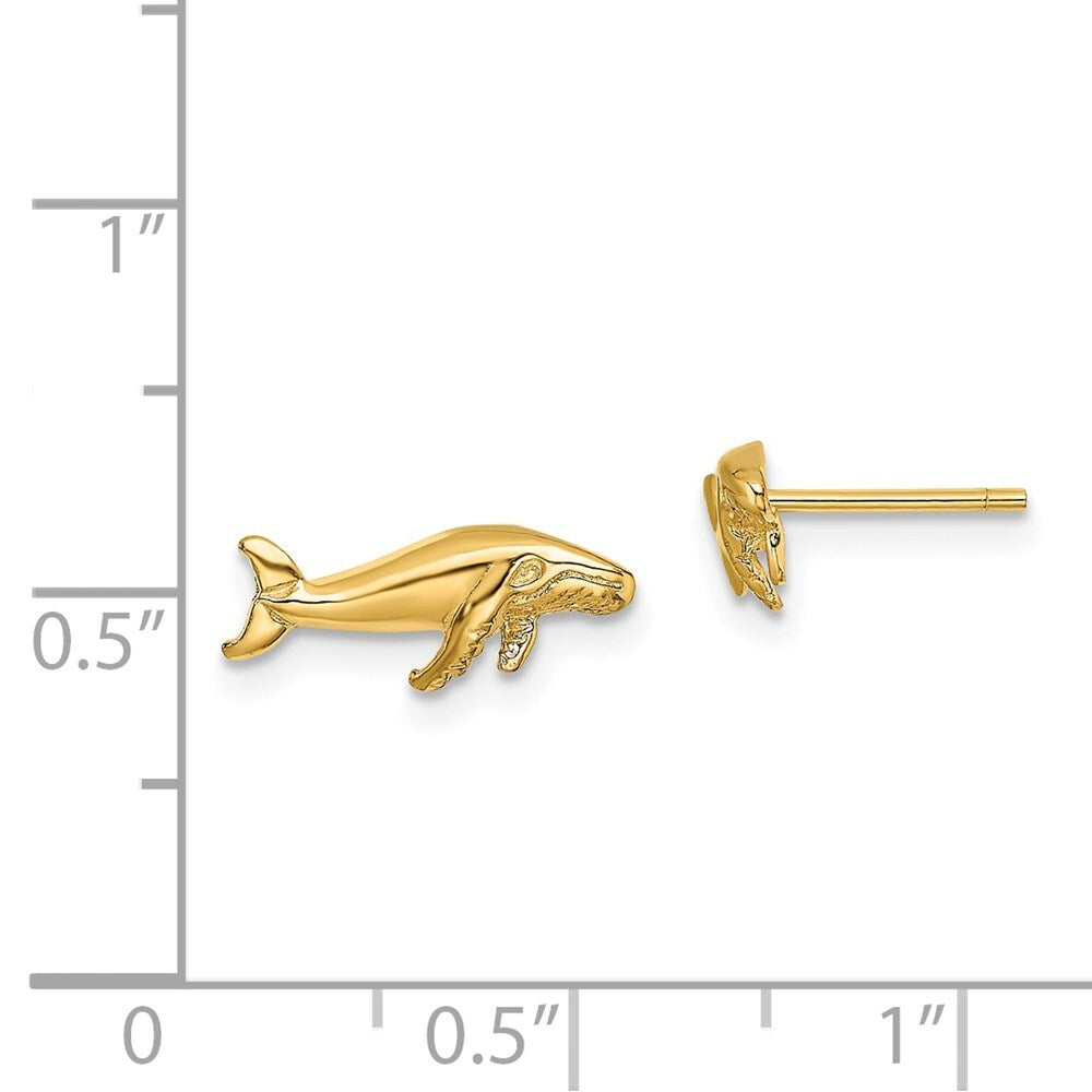 14k Yellow Gold Whale Stud Earrings Gift for Women