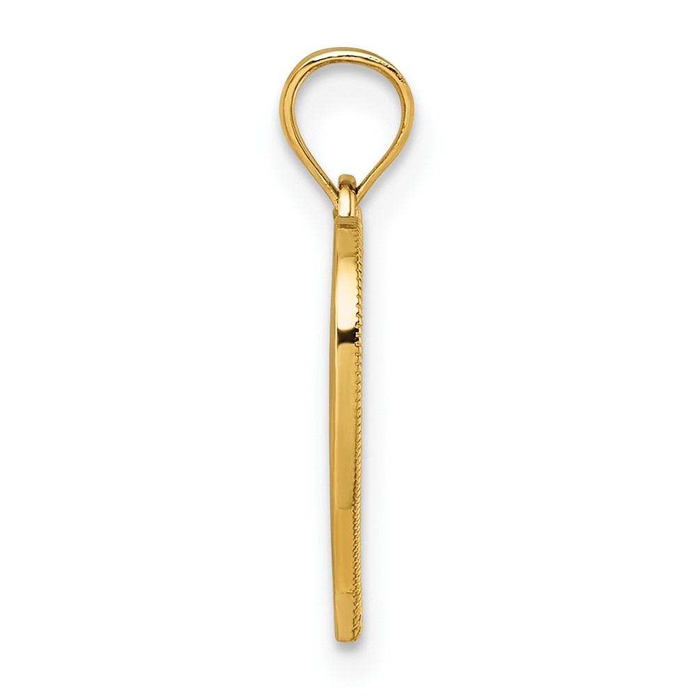 14k Yellow Gold Polished And Textured RN Symbol in Open Heart Pendant