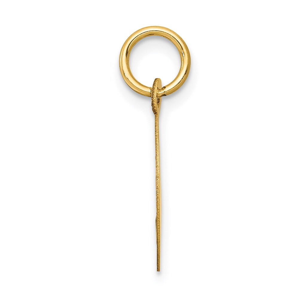 14k Yellow Gold Holy Communion Disc Charm Pendant for Women