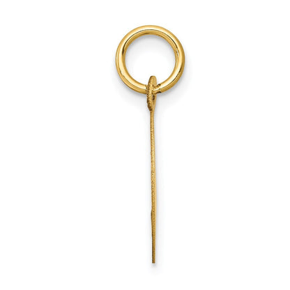 14k Yellow Gold Holy Communion Disc Charm Pendant for Women
