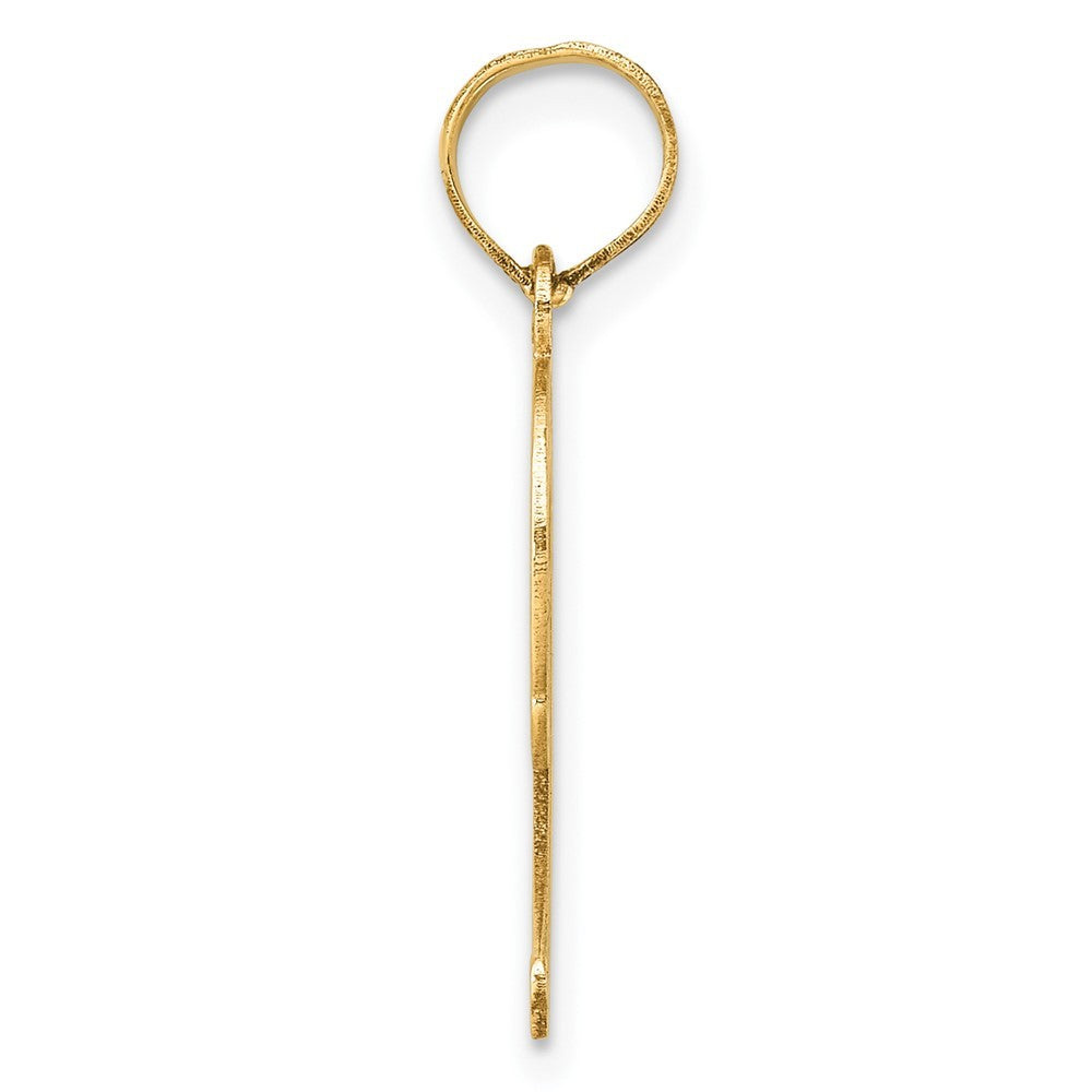 14k Yellow Gold Polished Etched Number 9 Pendant