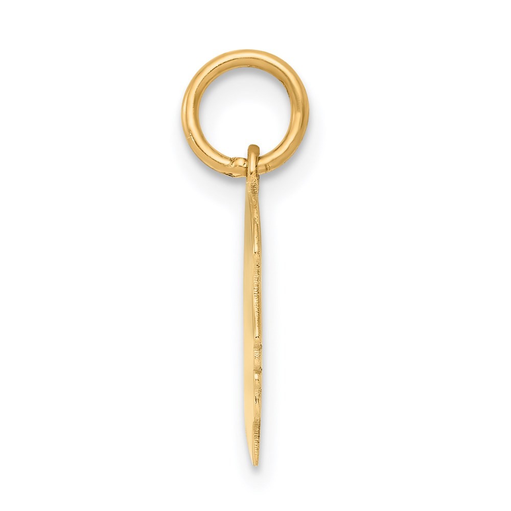 14k Yellow Gold Plain Small .011 Gauge Facing Right Girl Head Charm Pendant