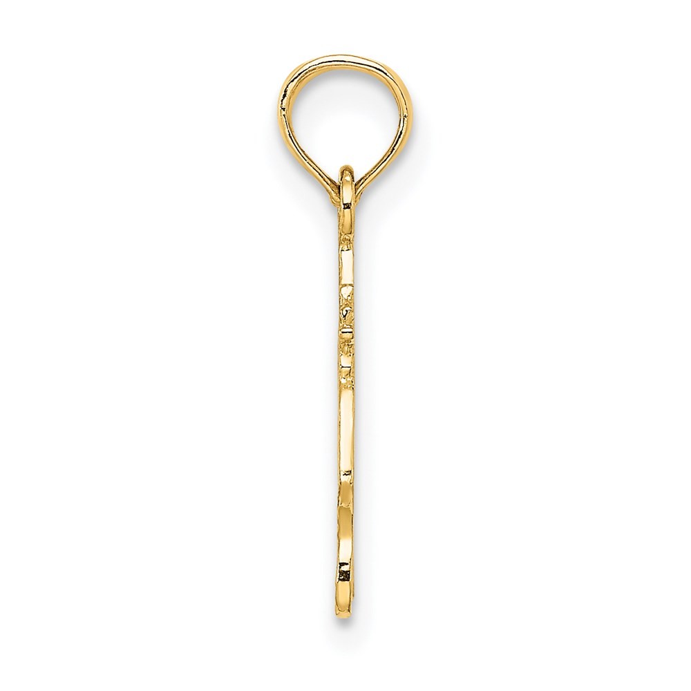14k Yellow Gold #1 AUNT Charm