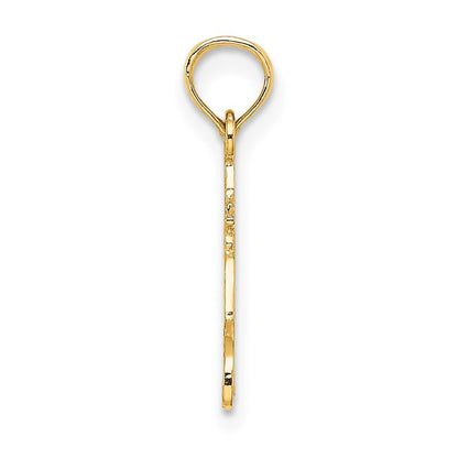 14k Yellow Gold #1 AUNT Charm