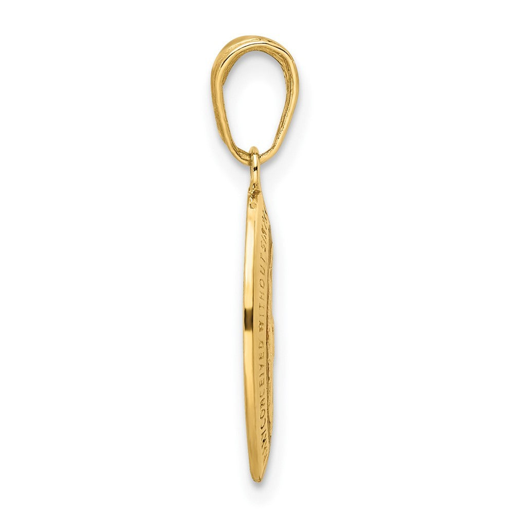 14k Yellow Gold Red Enameled Miraculous Medal Pendant