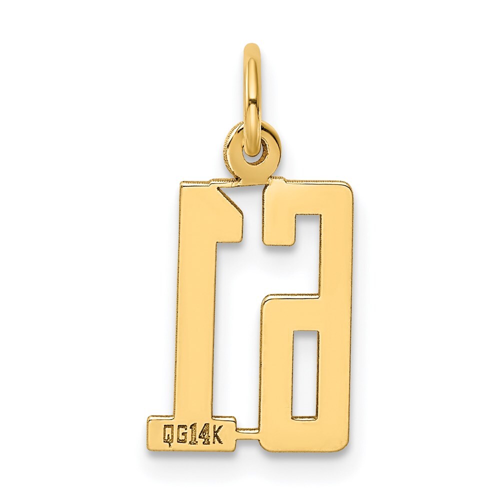 14k Yellow Gold Small Elongated Number 61 Charm Pendant for Women