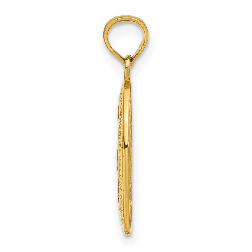 14k Yellow Gold Miraculous Medal Pendant for Women
