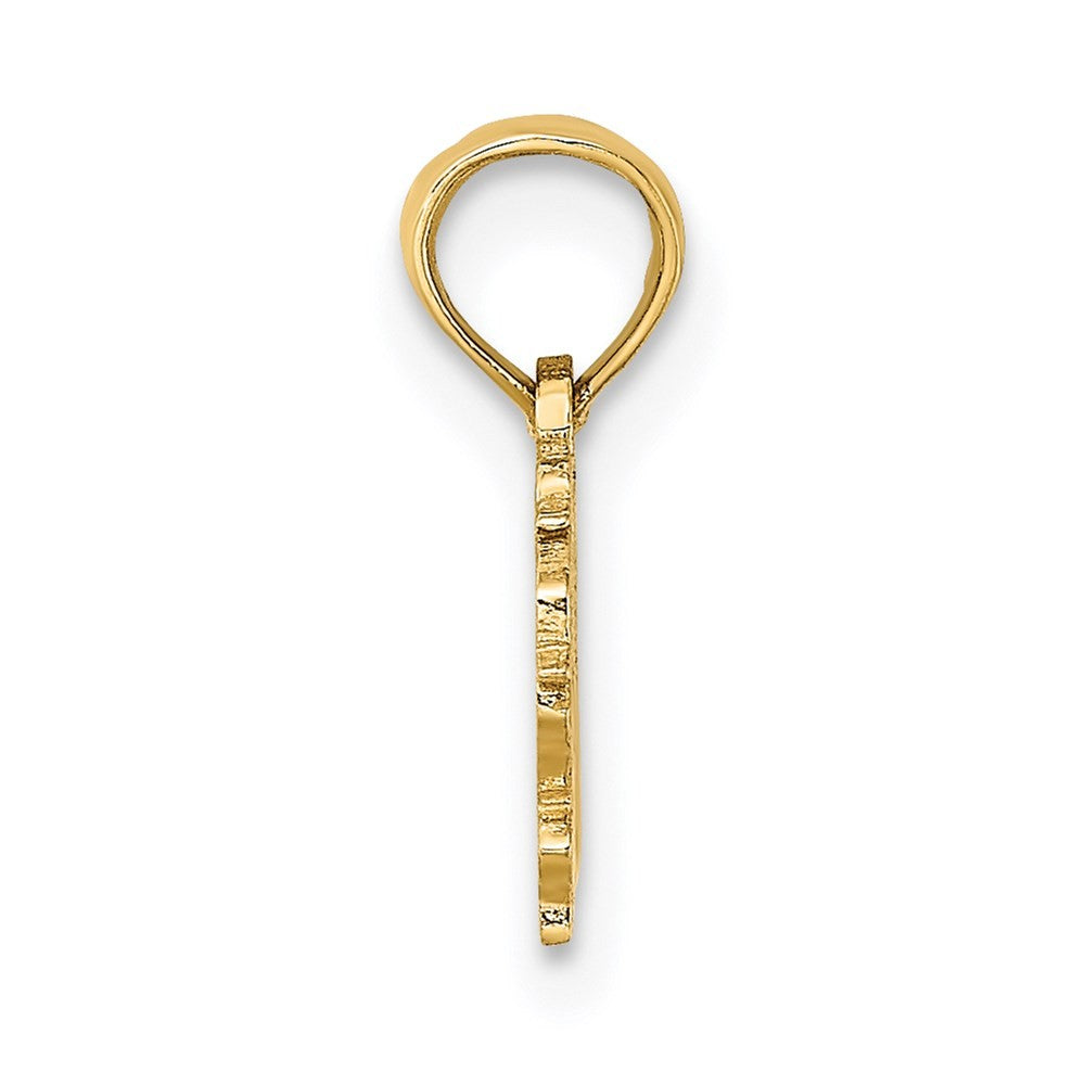 14k Yellow Gold 100% VIRGO Zodiac Charm