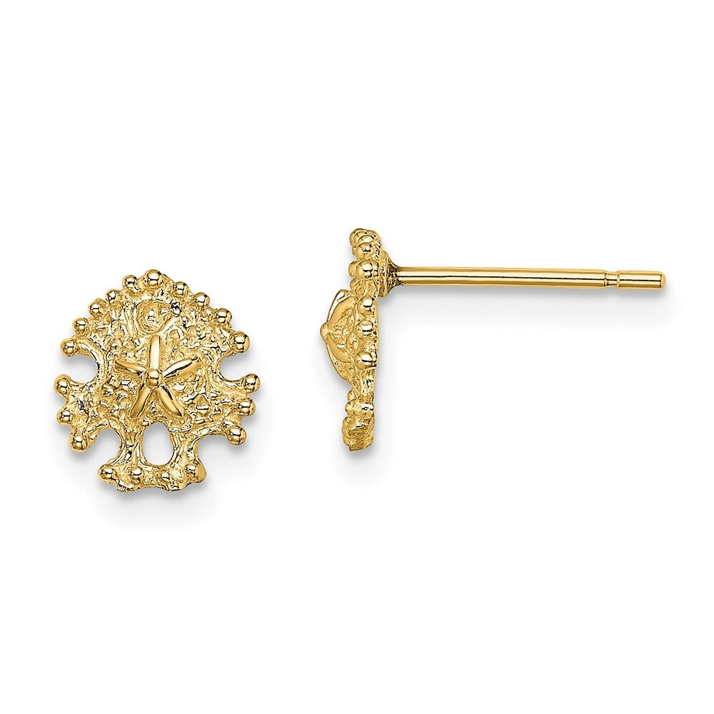 14k Yellow Gold Mini Sand Dollar Stud Earrings Gift for Women