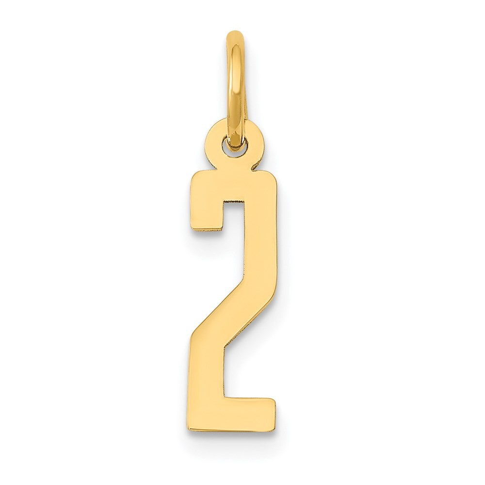 14k Yellow Gold Small Elongated Number 2 Charm