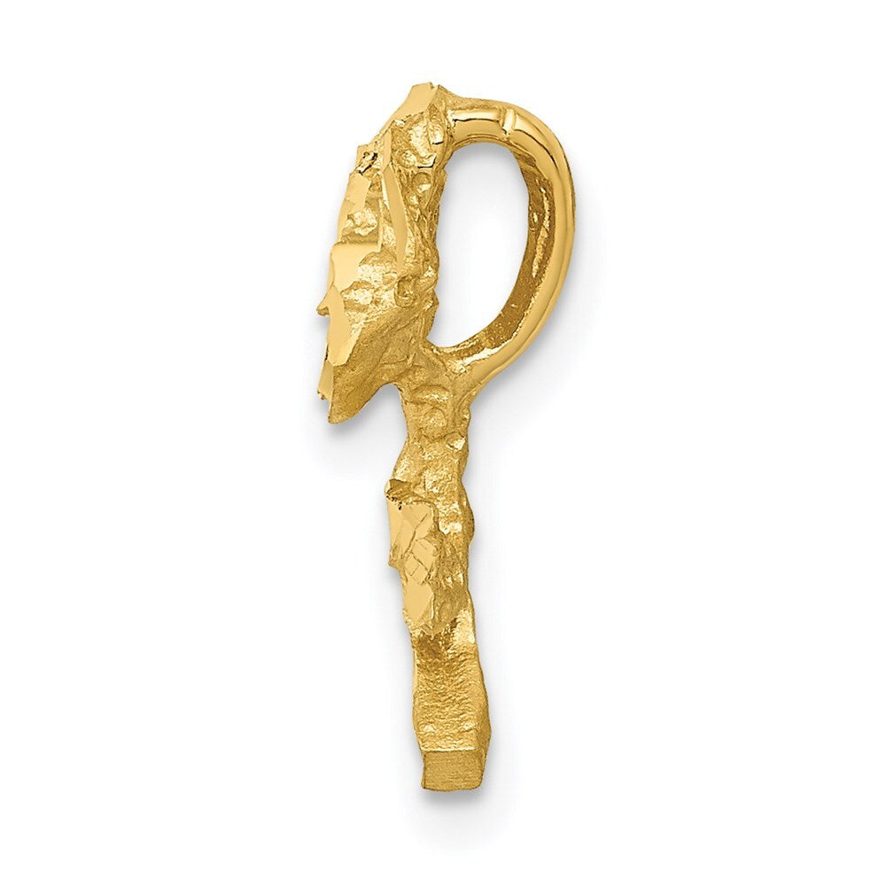 14k Yellow Gold Satin Diamond-cut Rose Chain Slide Pendant for Women