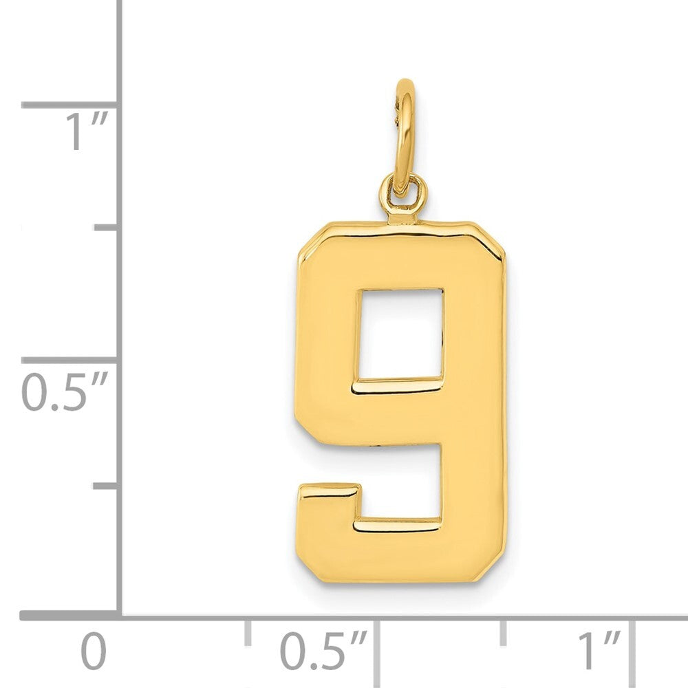 14k Yellow Gold Large Polished Number 9 Charm Pendant for Women