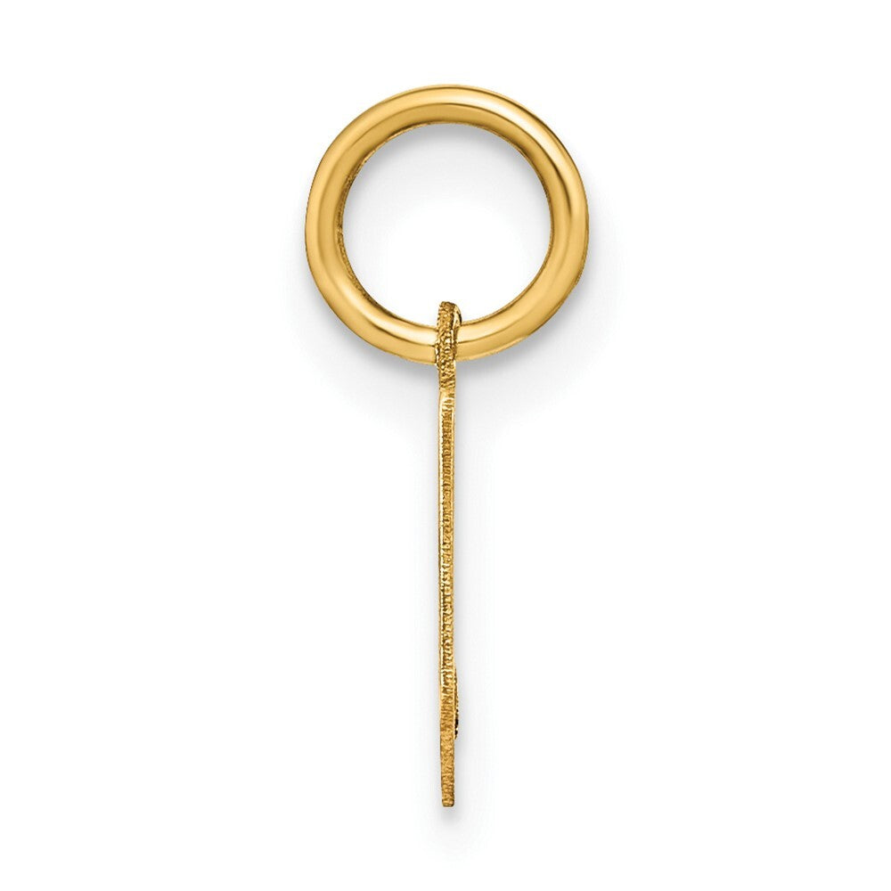 14k Yellow Gold Lowercase Letter V Initial Pendant for Women