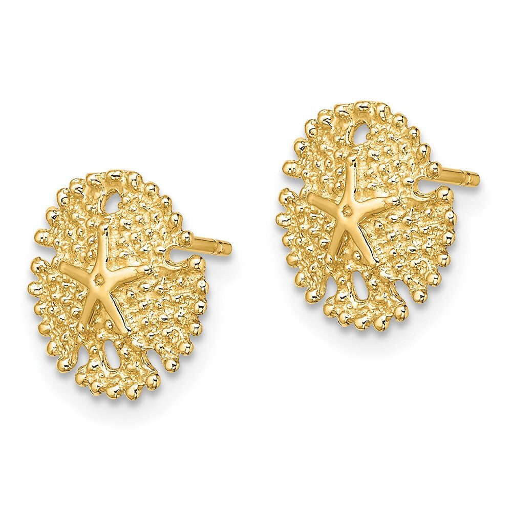 14k Yellow Gold Textured Sand Dollar Stud Earrings Gift for Women