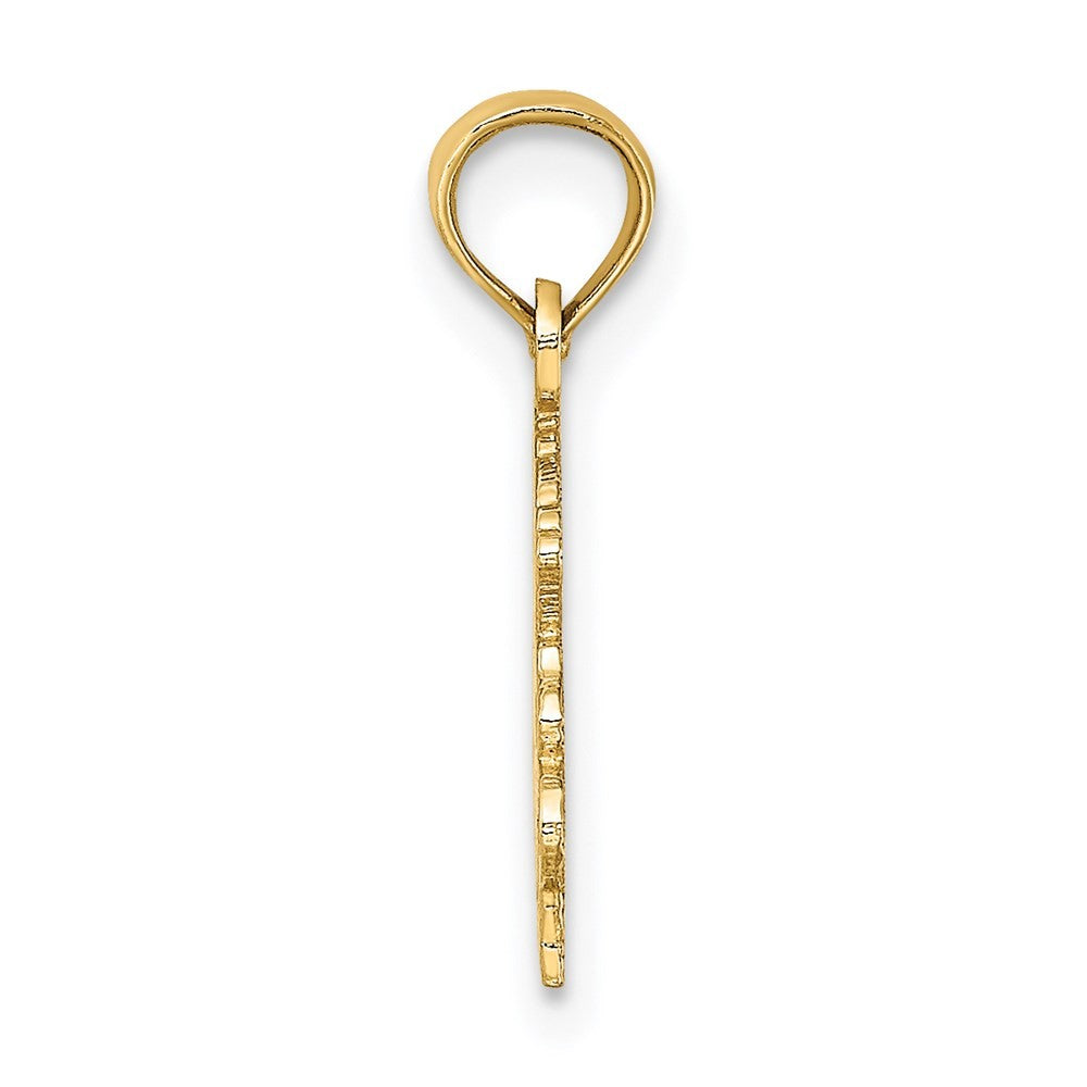 14k Yellow Gold 100% CAPRICORN Zodiac Charm