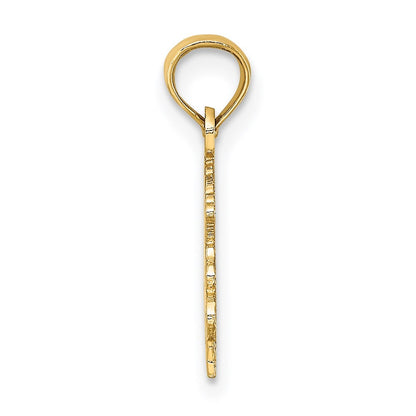 14k Yellow Gold 100% CAPRICORN Zodiac Charm