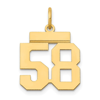 14k Yellow Gold Small Polished Number 58 Charm Pendant for Women