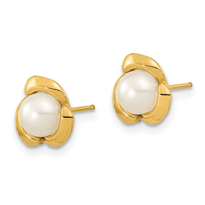 14k Yellow Gold 5-6mm White Button Freshwater Cultured Pearl Stud Earrings