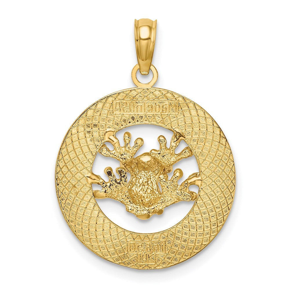 14k Yellow Gold ANTIGUA, W.I. Circle  Frog Charm Pendant for Women