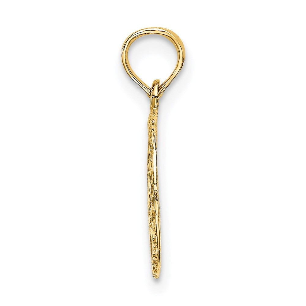 14k Yellow Gold Engraved Star Of David In Circle Charm