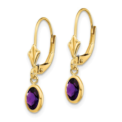 14k Yellow Gold 6x4mm February/Amethyst Earrings