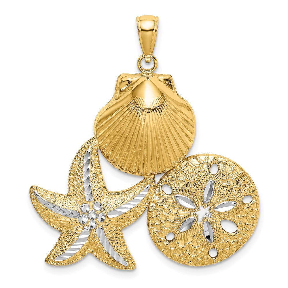 14k Yellow Gold White Rhodium Diamond-cut Scallop Starfish Sand Dollar Charm