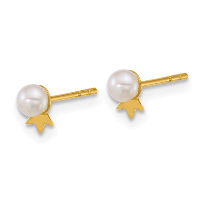 14k Yellow Gold Polished 3-4mm Freshwater Cultured Pearl with Crown Earrings