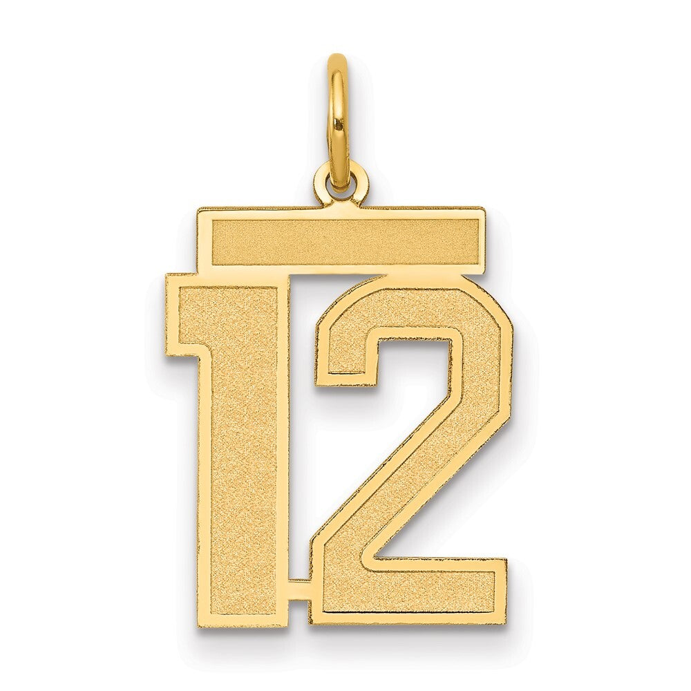 14k Yellow Gold Medium Satin Number 12 Charm Pendant for Women